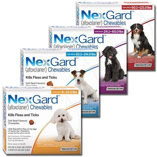NexGard chewable for dogs