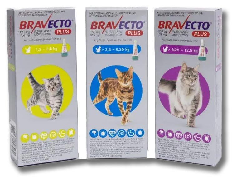 Bravecto Plus cat products