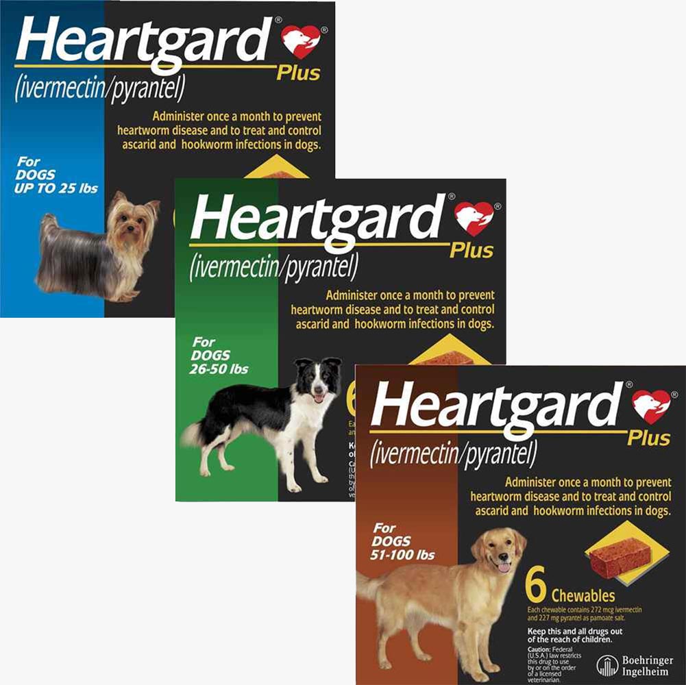Heartgard Plus Chewables - 6 Pack